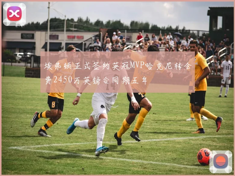 埃弗顿正式签约英冠MVP哈克尼转会费2450万英镑合同期五年